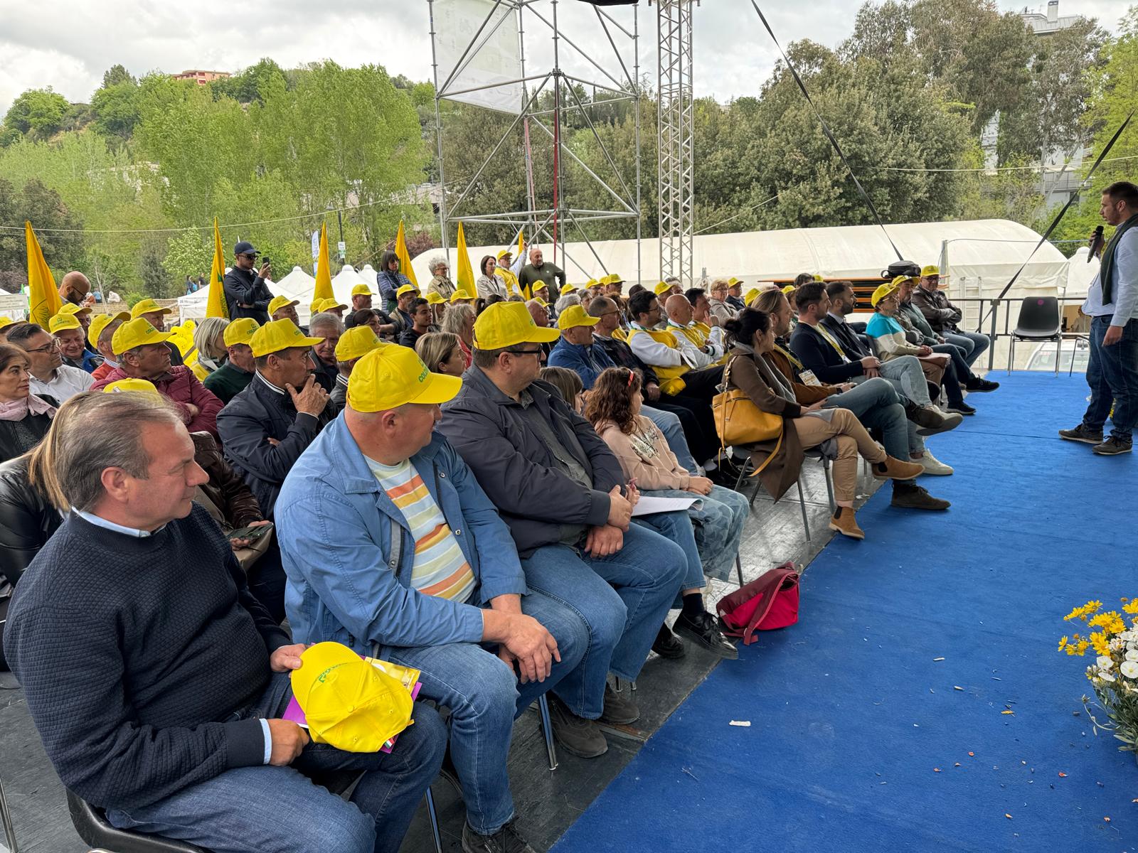 ARROSTICINO.jpeg