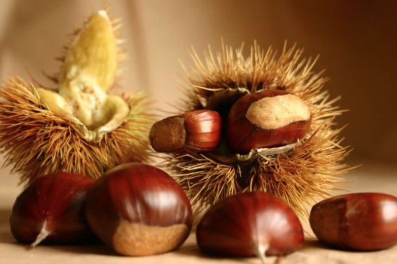 CASTAGNE.png