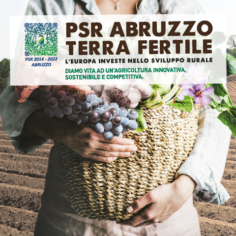 PSR