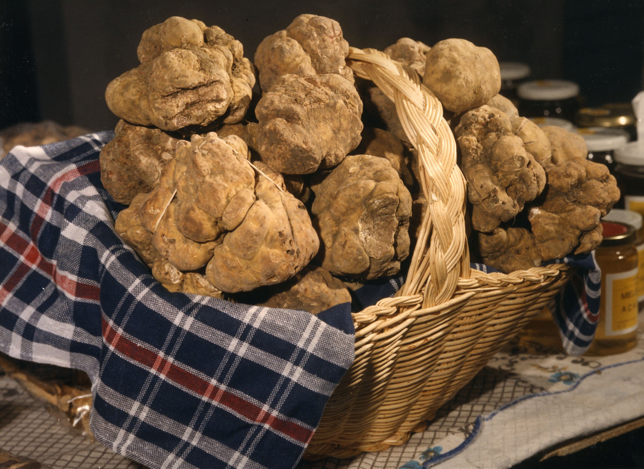 Tartufo