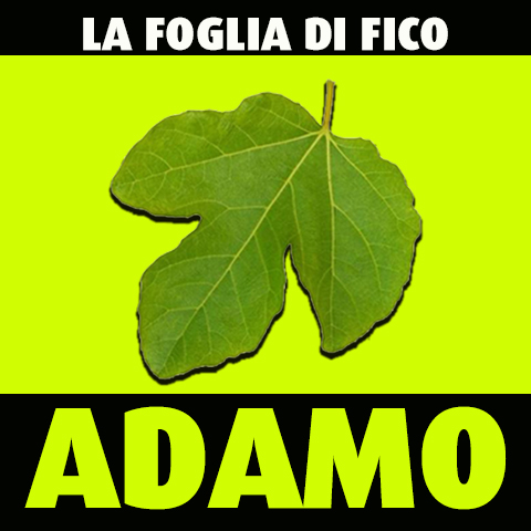 ADAMO