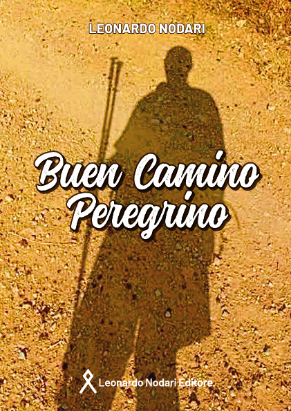libro_Buen_camino_peregrino.jpg